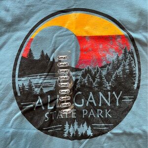 Allegheny State Part Teal T Shirt